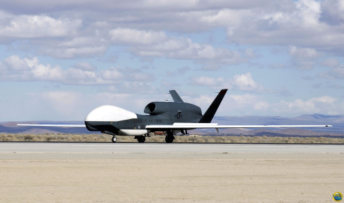 ����ͼ��������ȫ��ӥ�����˻�