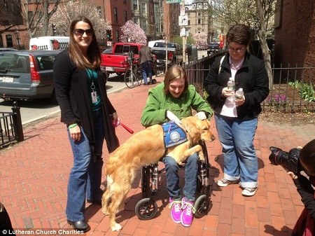 ��ëȮ������ʿ�ٽ�ͷ������