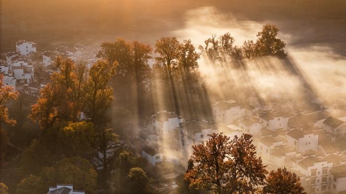 江西婺源：石城村晨雾缭绕 红枫林迎最佳观赏期