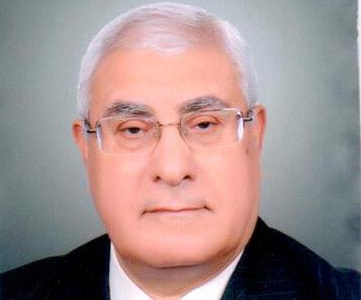 快讯:埃及宪法法院院长曼苏尔就任临时总统