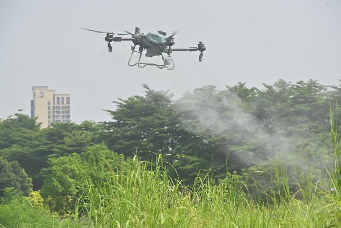 广州荔湾开展无人机灭蚊行动