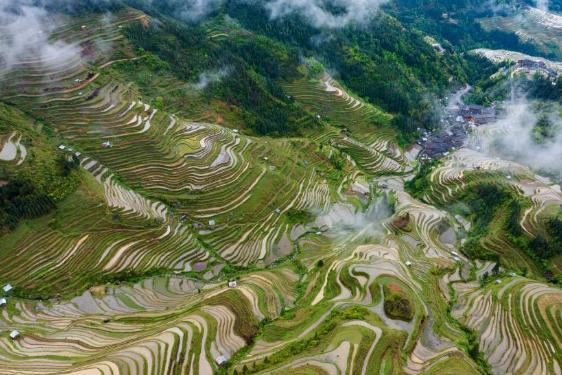 贵州加榜梯田雨后清新如画
