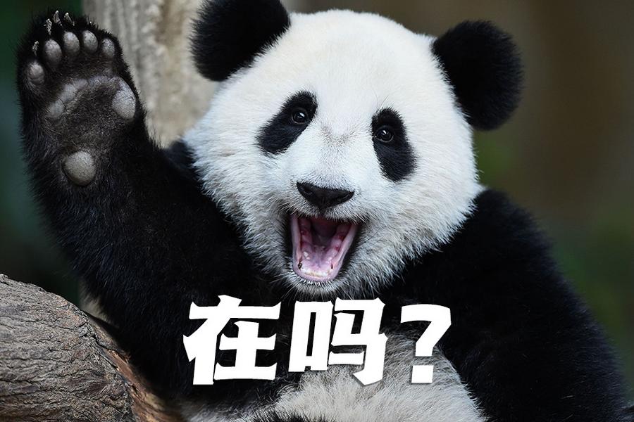 【世界微笑日特刊】嘿嘿，今天你笑了吗？