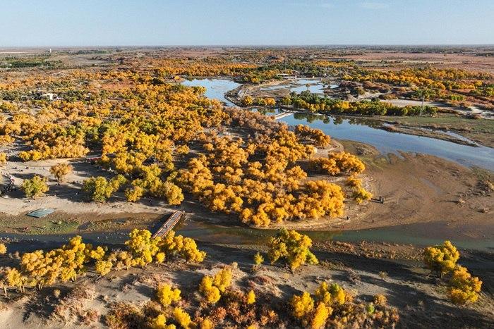 内蒙古额济纳：金黄林海与碧空流水共绘秋景