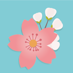 ������ȷ�ġ���ӣ���ơ�